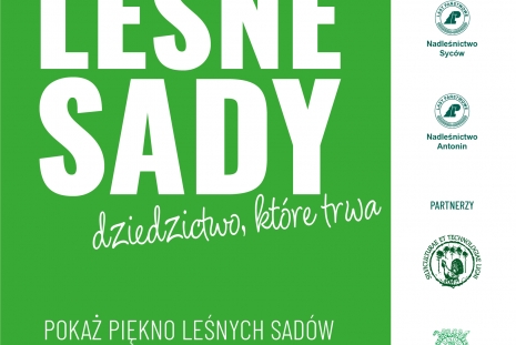 Plakat ogólnopolskiego konkursu fotograficznego pod tytułem „Leśne sady – dziedzictwo, które trwa” ma minimalistyczną grafikę opartą na zielono-białej kolorystyce. Główną część kompozycji zajmują duże, białe napisy zachęcające do pokazania piękna leśnych sadów oraz informacja o terminie nadsyłania prac mĳającym 30 września 2026 roku. Wzdłuż prawego, białego marginesu umieszczono logotypy organizatorów, do których należą Ośrodek Kultury Leśnej w Gołuchowie, Nadleśnictwo Syców i Nadleśnictwo Antonin, a także 