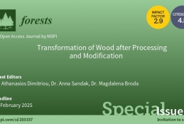 Transformation of Wood after Processing and Modification Transformation of Wood after Processing and Modification