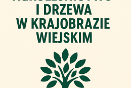 Plakat promujący studium
