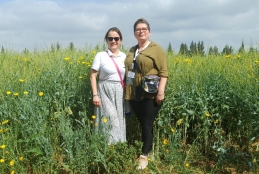 Dwie uśmiechnięte kobiety, prof. dr hab. Kinga Stuper-Szablewska oraz prof. UPP dr hab. Danuta Kurasiak-Popowska, stoją pośród wysokiej roślinności na kwitnącym polu. Jedna z nich ma na sobie białą koszulkę i wzorzystą spódnicę, a druga oliwkową koszulę i ciemne spodnie. W tle widać rozległą uprawę z żółtymi kwiatami pod lekko zachmurzonym niebem.