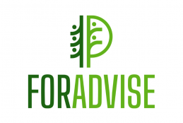 logo projektu europejskiego FORADVISE