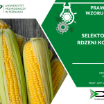 Plakat przedstawiający kolby kukurydzy z nazwą patentu