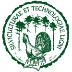 kafelek - Logo Wydziału Leśnego i Technologii Drewna 