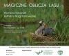 Plakat wydarzenia. Przedstawia żurawia siedzącego w gnieździe na mokradłach, z którego piór na grzbiecie wychyla się małe, rude pisklę. Ptaki otoczone są gęstą, zieloną roślinnością wodną i wysokimi trawami. Górna część grafiki zawiera białe napisy informujące o wystawie fotografii Adriany Bogdanowskiej oraz wernisażu, który odbędzie się 25 maja 2026 roku w Katedrze Chemii Uniwersytetu Przyrodniczego w Poznaniu. Dolny pas plakatu wymienia organizatorów i dodatkowe atrakcje,