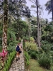 Szczyt Parku Isabel de Torres - Ogród Botaniczny