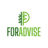 logo projektu europejskiego FORADVISE